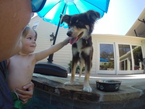 Emma Jane- Fish and Fins Pool Puppy helping her friend, Griffin- Age 2, calm down to be comfortable in the water and learn how to swim safely.