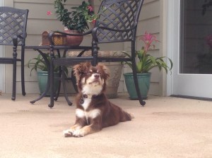 Emma Jane- Age 8 months Sitting down waiting on her friends to come swim so she can be a lifeguard :)
